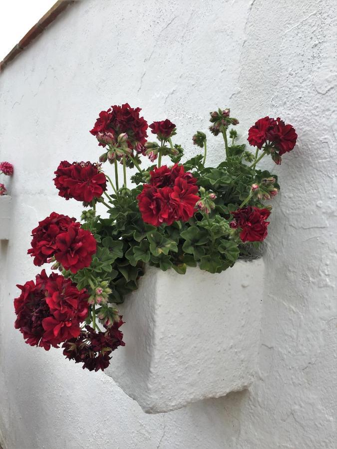 Casa Las Torres B&B Iznate Esterno foto